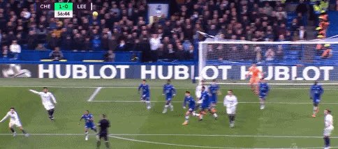 1677946728660041335.gif IMG_6299.gif